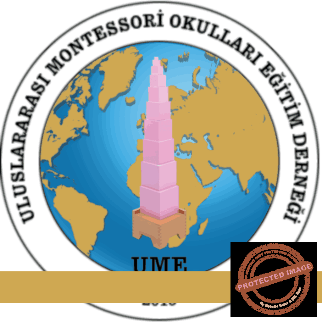 t-m-kurslar-7-renk-akademi