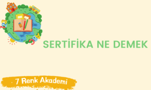 Sertifika Ne Demek