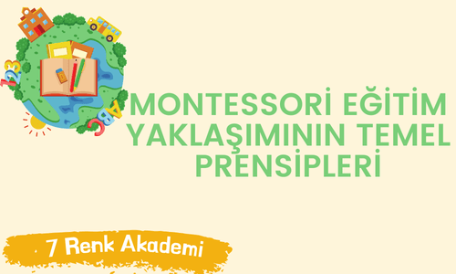 Montessori Eğitim Yaklaşımının Temel Prensipleri