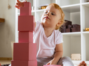 Montessori Terapistliği Eğitimi 2024 Uygulayıcı Eğitimi