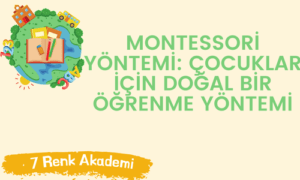 Montessori Yöntemi: Çocuklar İçin Doğal Bir Öğrenme Yöntemi