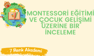 Montessori Eğitimi ve Çocuk Gelişimi Üzerine Bir İnceleme