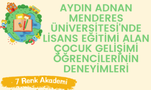 Aydın Adnan Menderes Üniversitesi'nde Lisans Eğitimi Alan Çocuk Gelişimi Öğrencilerinin Deneyimleri