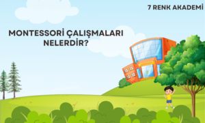 Montessori Çalışmaları Nelerdir?