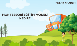 Montessori Eğitim Modeli Nedir