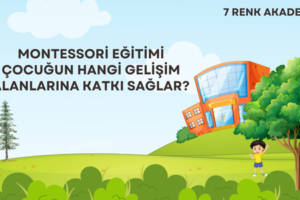 Montessori Eğitimi Çocuğun Hangi Gelişim Alanlarına Katkı Sağlar?