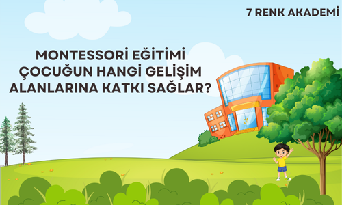 Montessori Eğitimi Çocuğun Hangi Gelişim Alanlarına Katkı Sağlar?