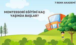 Montessori Eğitimi Kaç Yaşında Başlar?