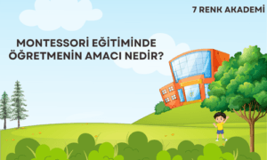 Montessori Eğitiminde Öğretmenin Amacı Nedir?
