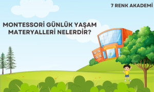 Montessori Günlük Yaşam Materyalleri Nelerdir?