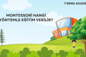 Montessori Hangi Yöntemle Eğitim Verilir?