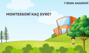 Montessori Kaç Evre?