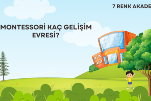 Montessori Kaç Gelişim Evresi?