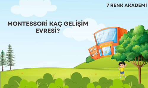 Montessori Kaç Gelişim Evresi?