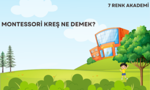 Montessori Kreş Ne Demek?