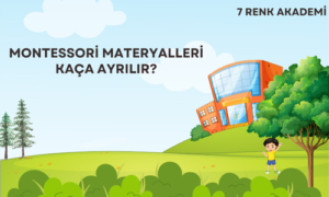 Montessori Materyalleri Kaça Ayrılır?