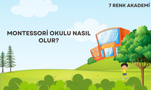 Montessori Okulu Nasıl Olur?