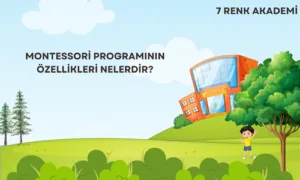 Montessori Programının Özellikleri Nelerdir?