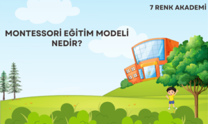 Montessori eğitim modeli