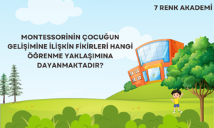 Montessorinin Çocuğun Gelişimine İlişkin Fikirleri Hangi Öğrenme Yaklaşımına Dayanmaktadır?