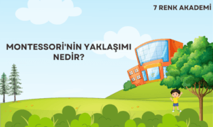 Montessori'nin Yaklaşımı Nedir?