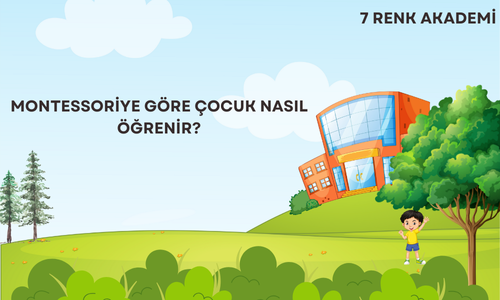 Montessoriye Göre Çocuk Nasıl Öğrenir?