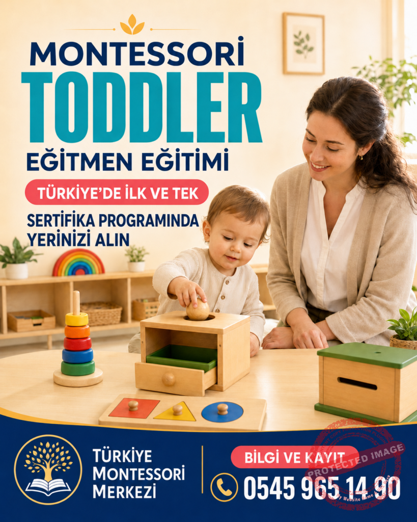 Montessori Toddler Egitmen Egitimi